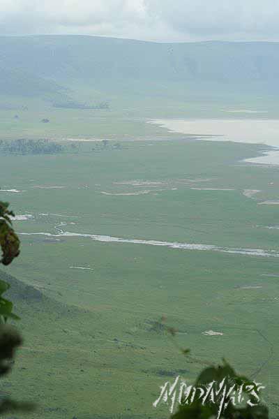 Mud Maps Africa Ngorongoro NP 1965